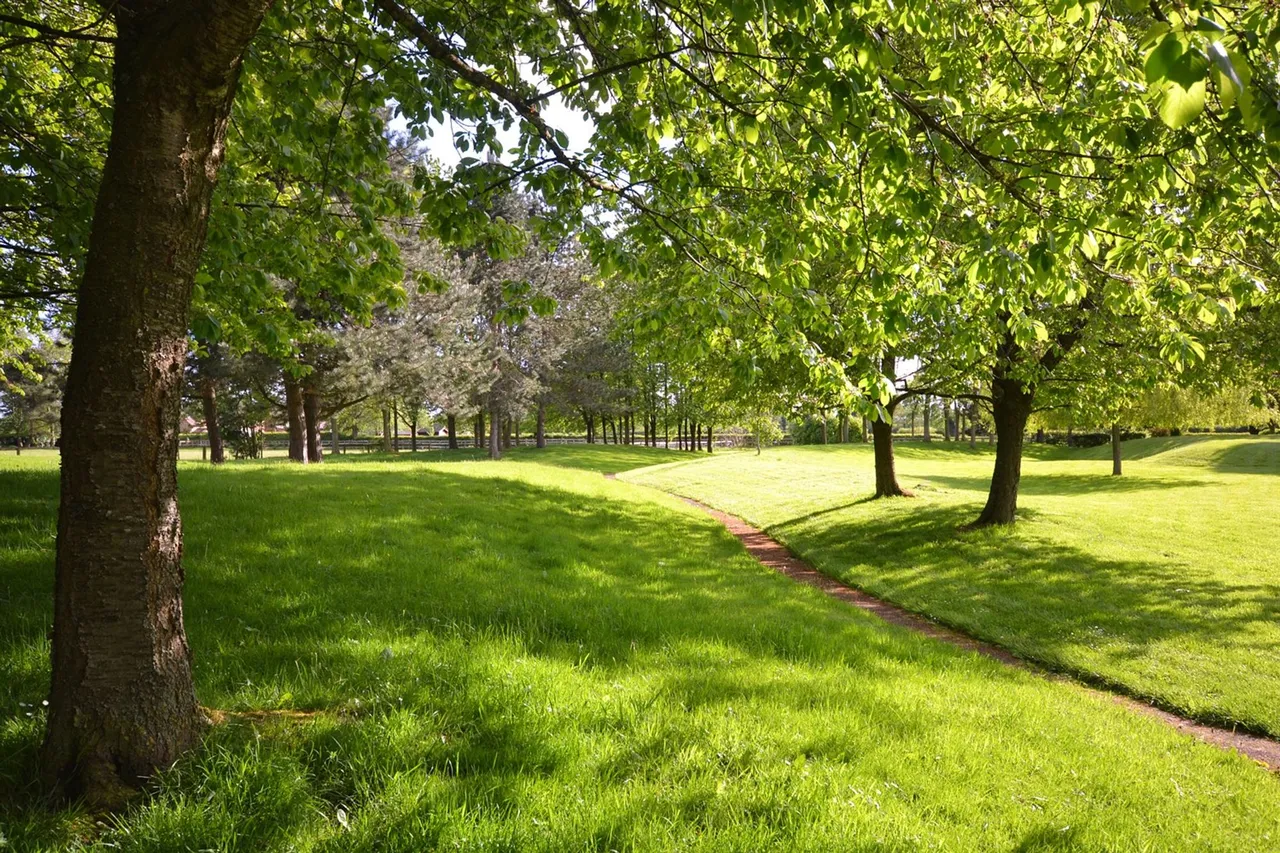 The Beeches Warford Park Faulkners Lane, Knutsford, photo 10