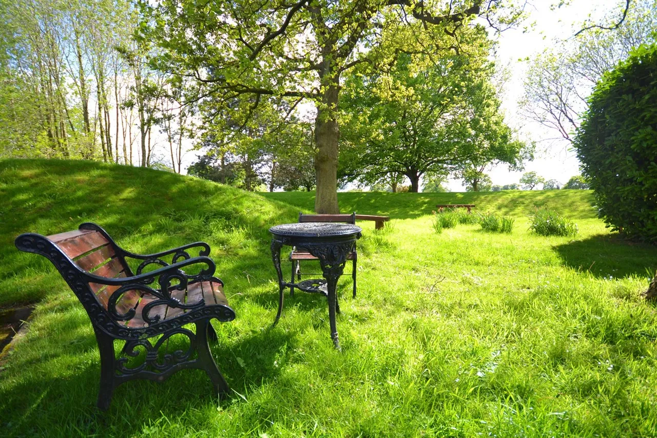The Beeches Warford Park Faulkners Lane, Knutsford, photo 13
