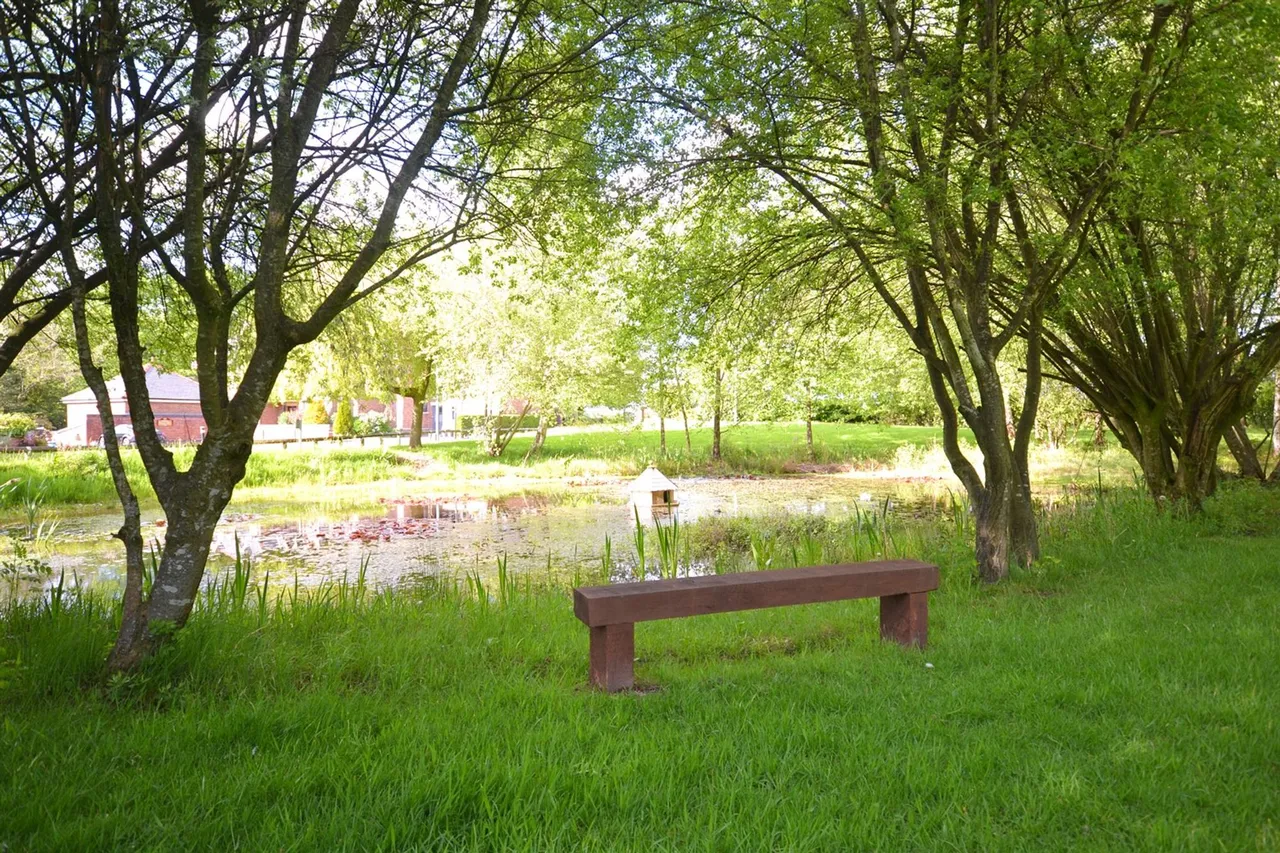 The Beeches Warford Park Faulkners Lane, Knutsford, photo 12