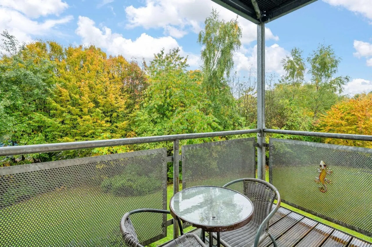 Hawk Brae, Livingston, EH54, photo 5