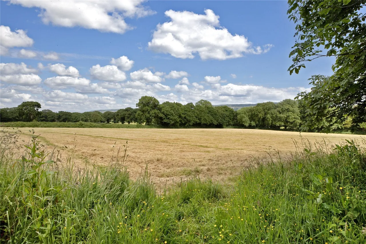 Higher Metcombe, Ottery St. Mary, EX11, photo 21