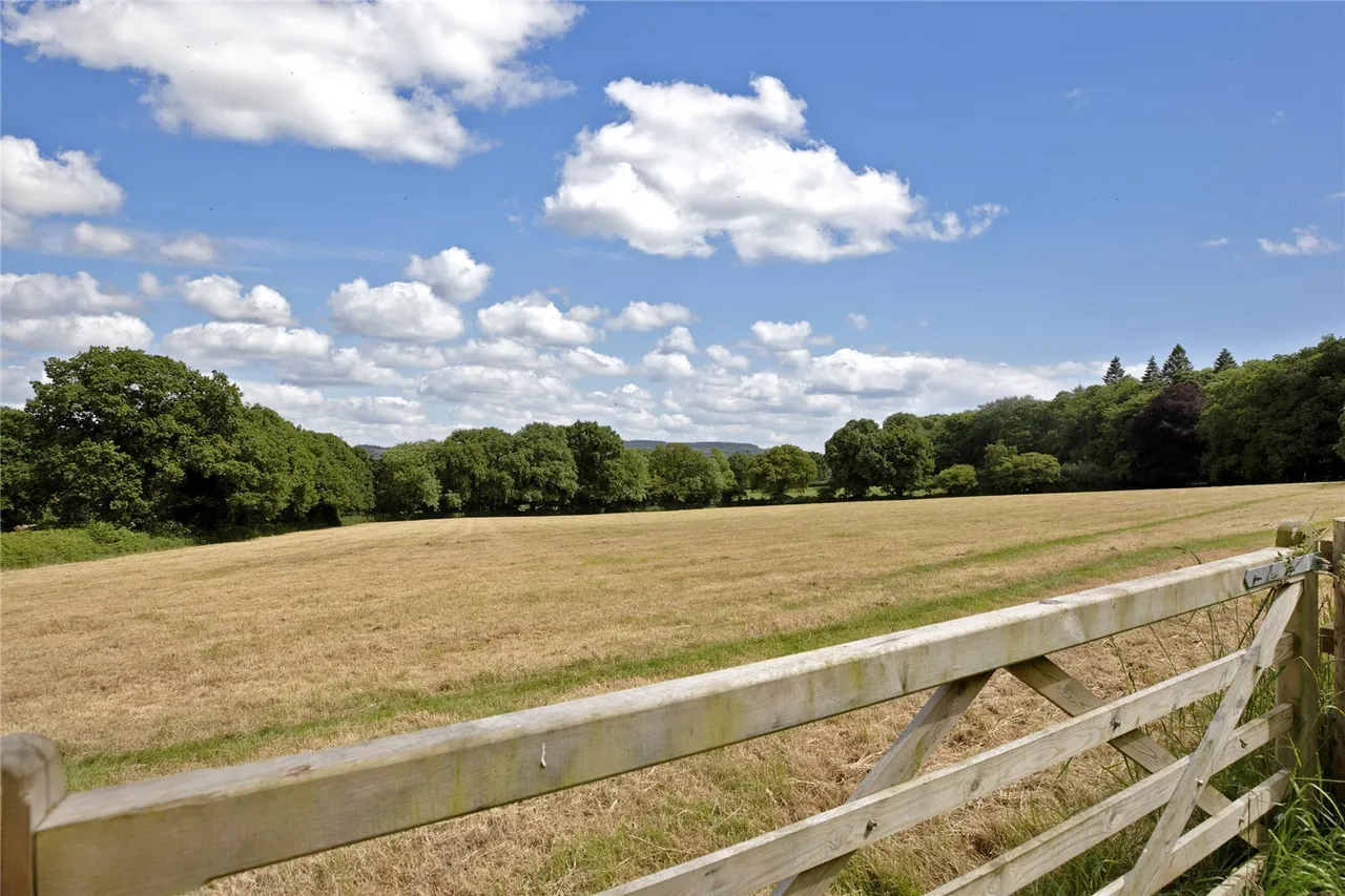 Higher Metcombe, Ottery St. Mary, EX11, photo 19