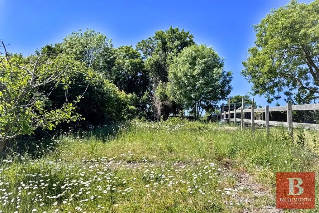 Winfield Avenue, Brighton BN1 8QH, photo 16