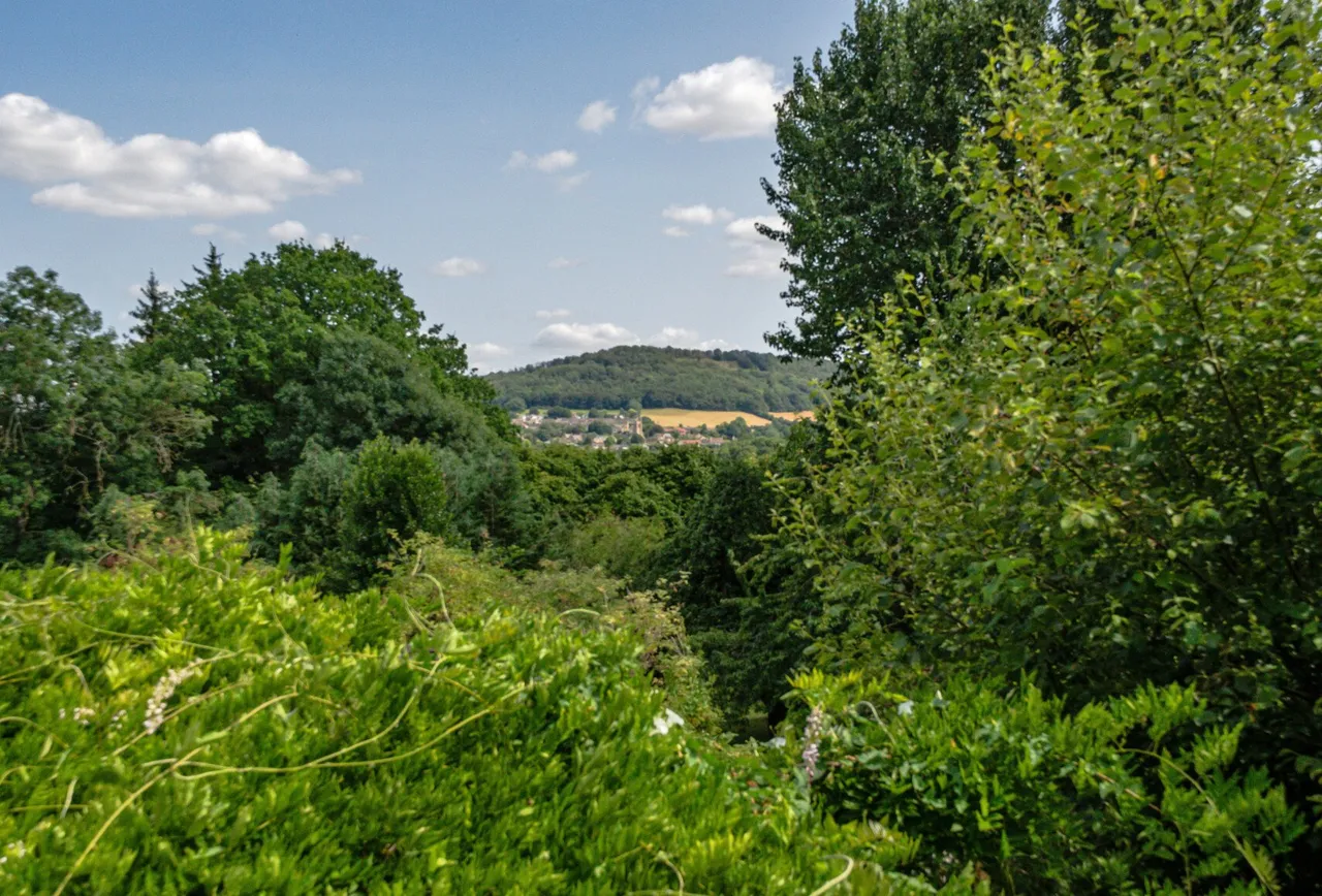 Victoria Gardens, Somerset, Batheaston, BA1 7RD, photo 15
