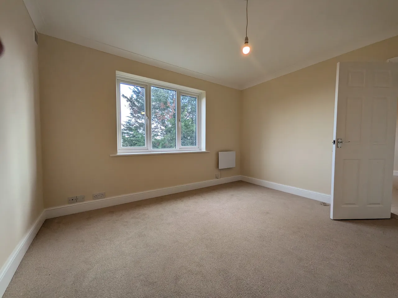 Woodlands Road, RH1, photo 4