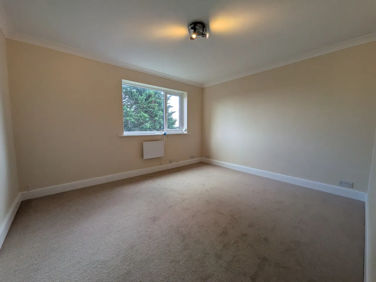 Woodlands Road, RH1, photo 6