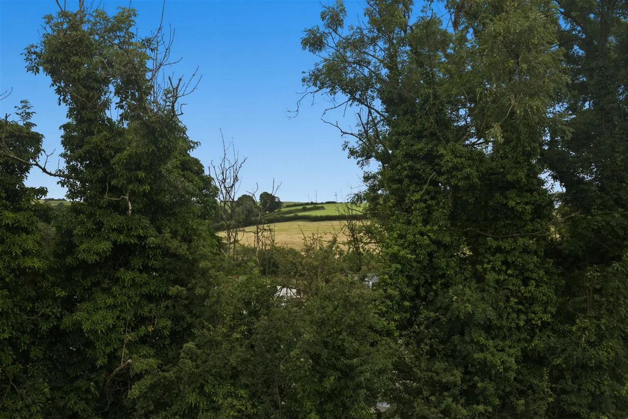 Moss Road, Ballynahinch, BT24, photo 31