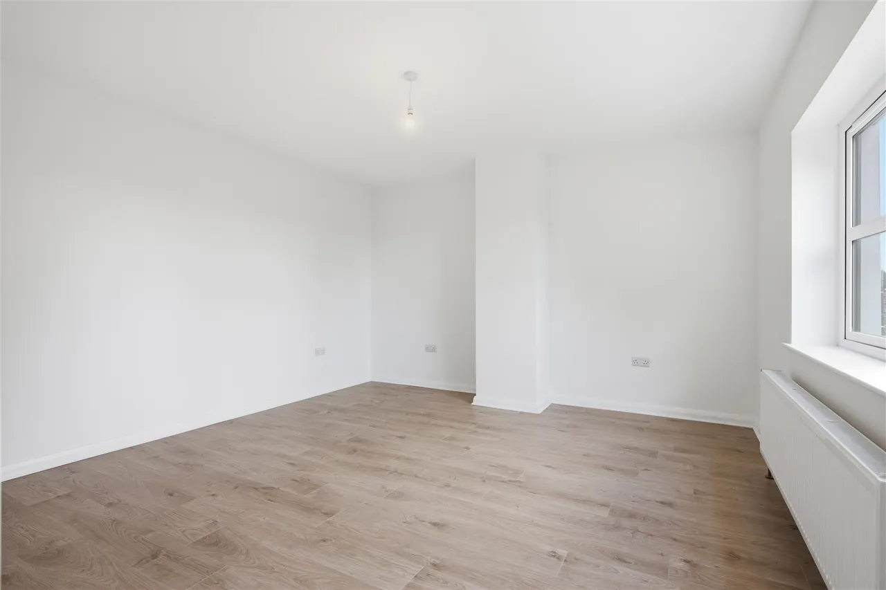 Moss Road, Ballynahinch, BT24, photo 28