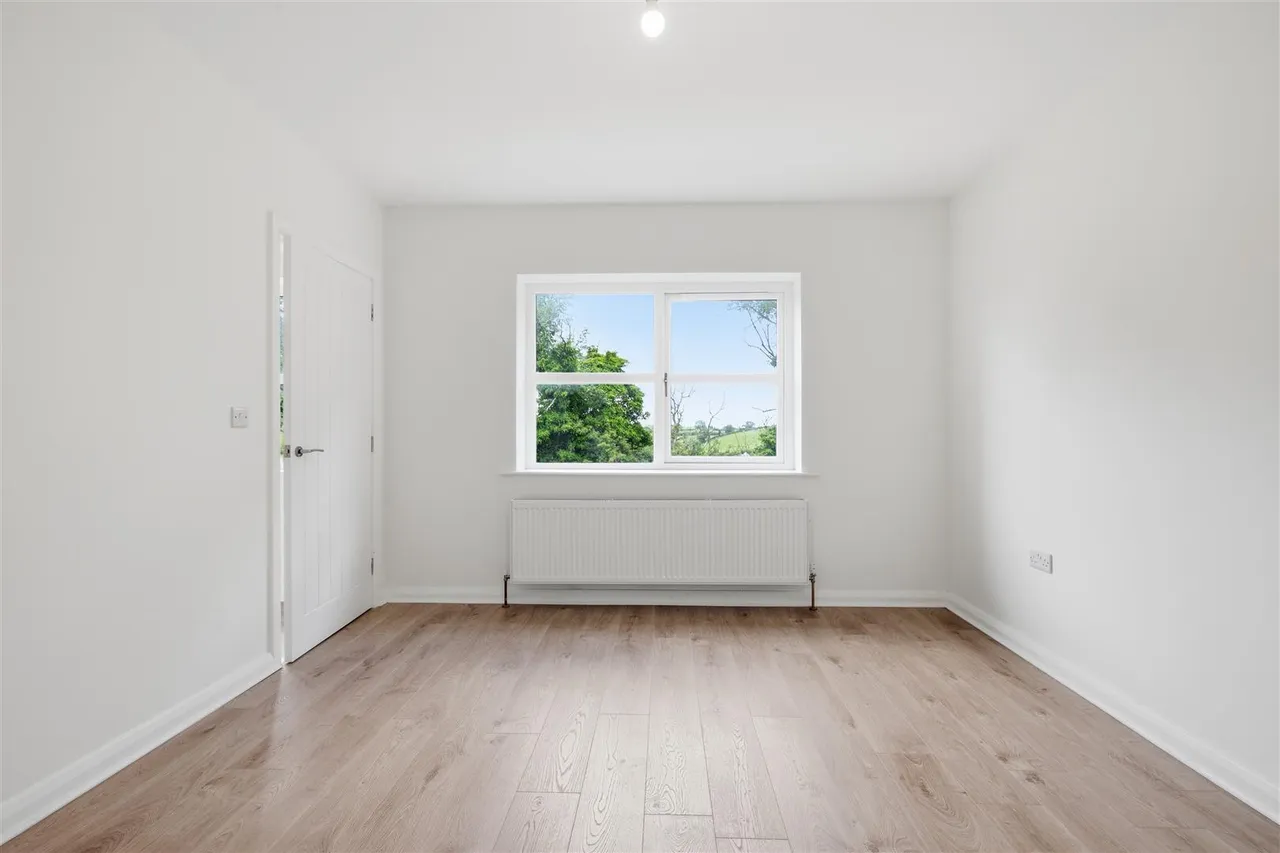 Moss Road, Ballynahinch, BT24, photo 25