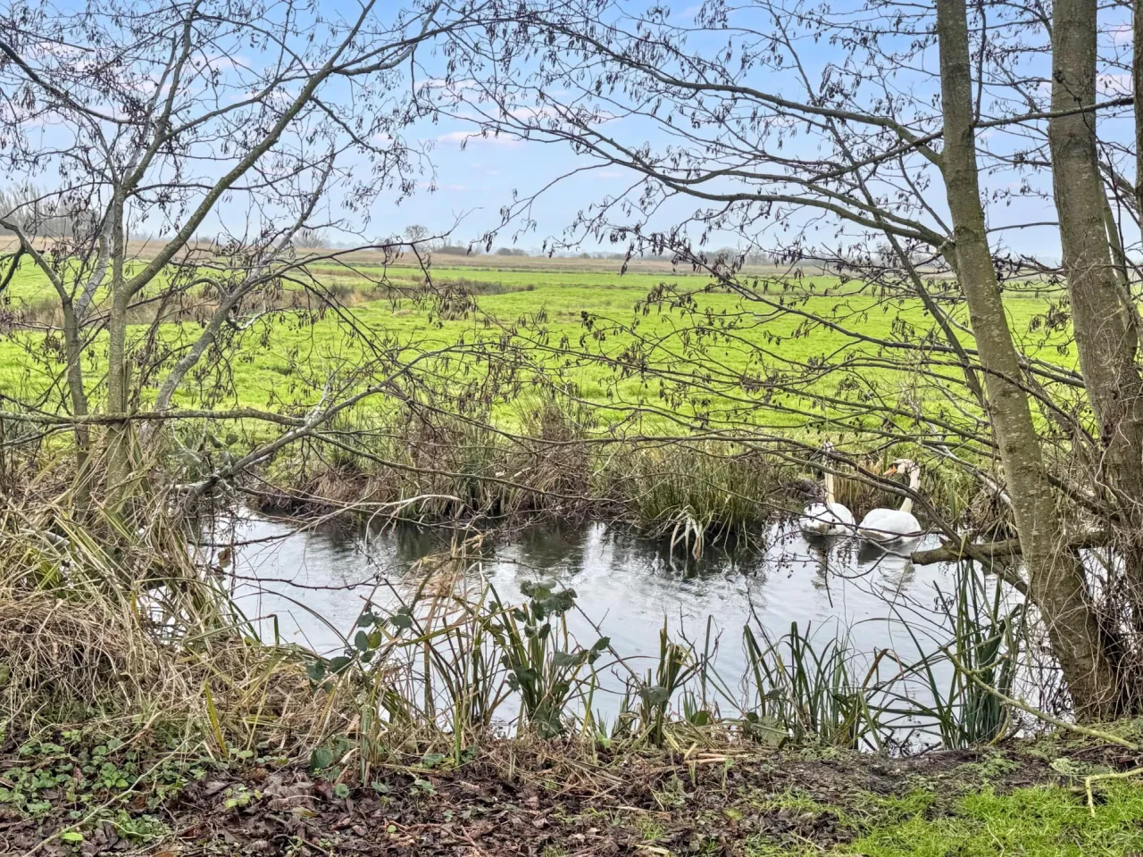 Staithe Road, Burgh St Peter, photo 16