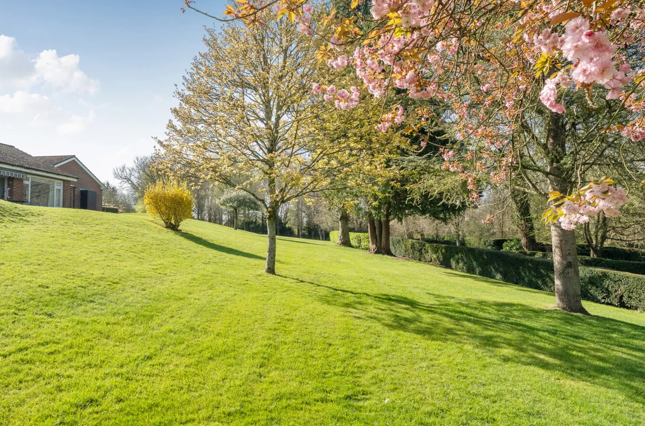 Bedfield Lane, Headbourne Worthy, SO23, photo 13