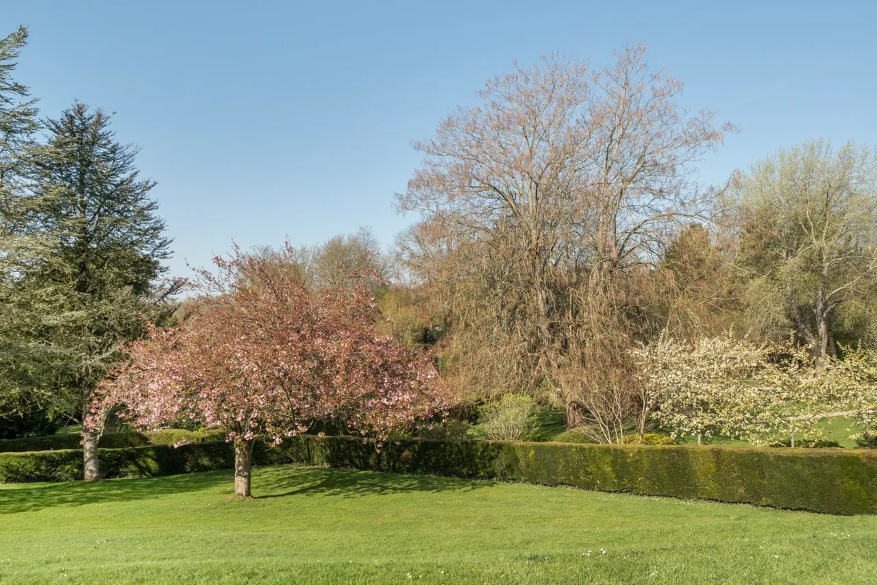 Bedfield Lane, Headbourne Worthy, SO23, photo 11