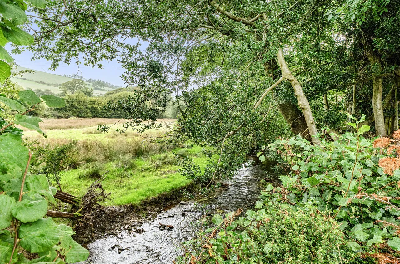 Ger Y Llan, Penrhyncoch, photo 8