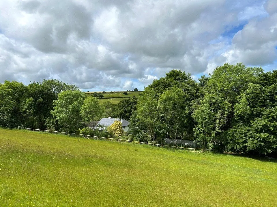 Cribyn, Lampeter, SA48, photo 32