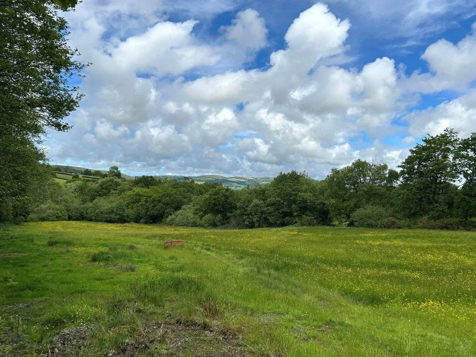Cribyn, Lampeter, SA48, photo 43