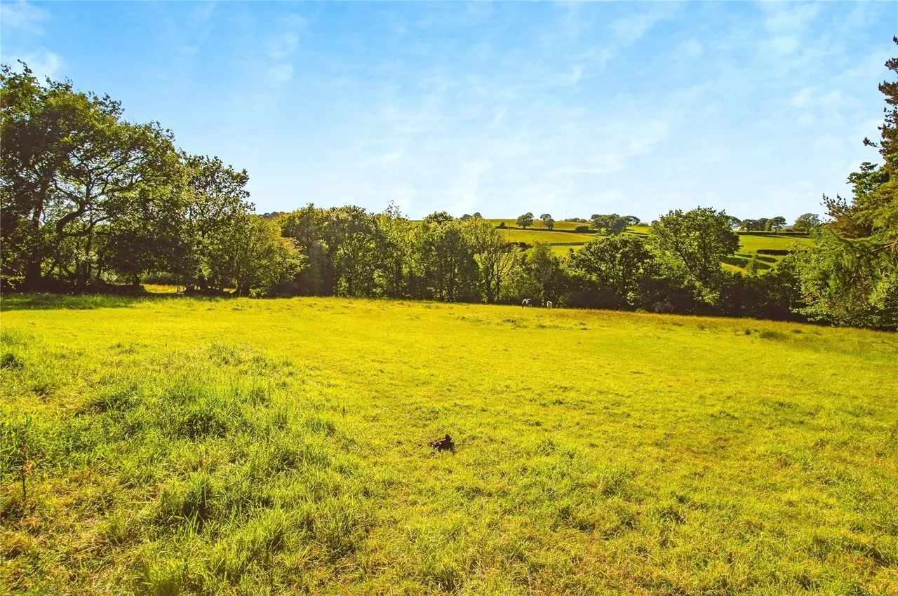 Cribyn, Lampeter, SA48, photo 35