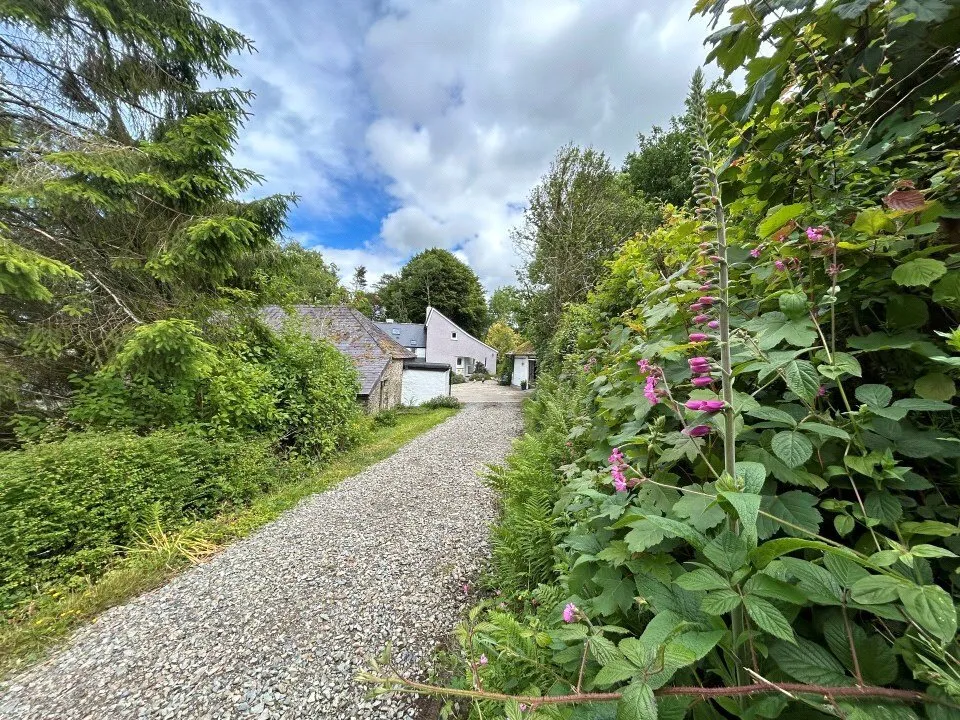 Cribyn, Lampeter, SA48, photo 48