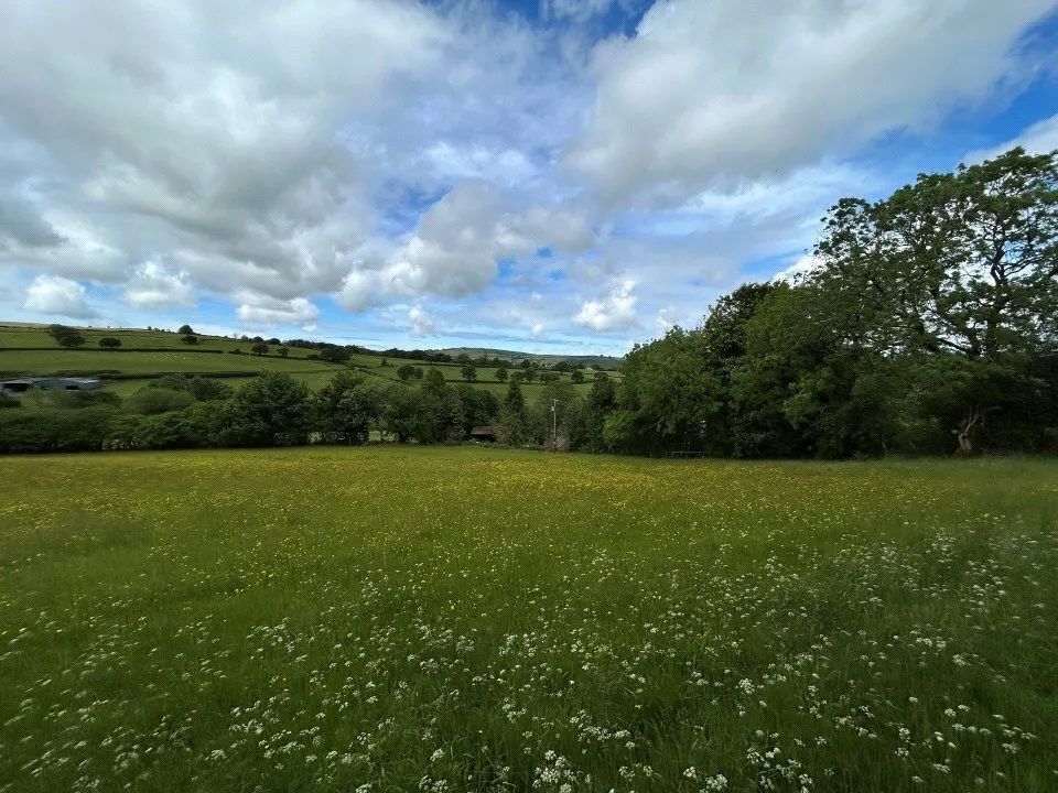 Cribyn, Lampeter, SA48, photo 45