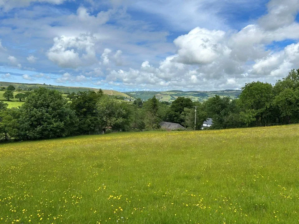 Cribyn, Lampeter, SA48, photo 44