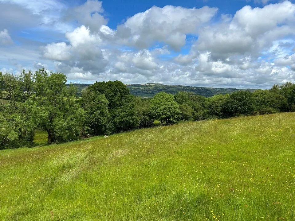 Cribyn, Lampeter, SA48, photo 46