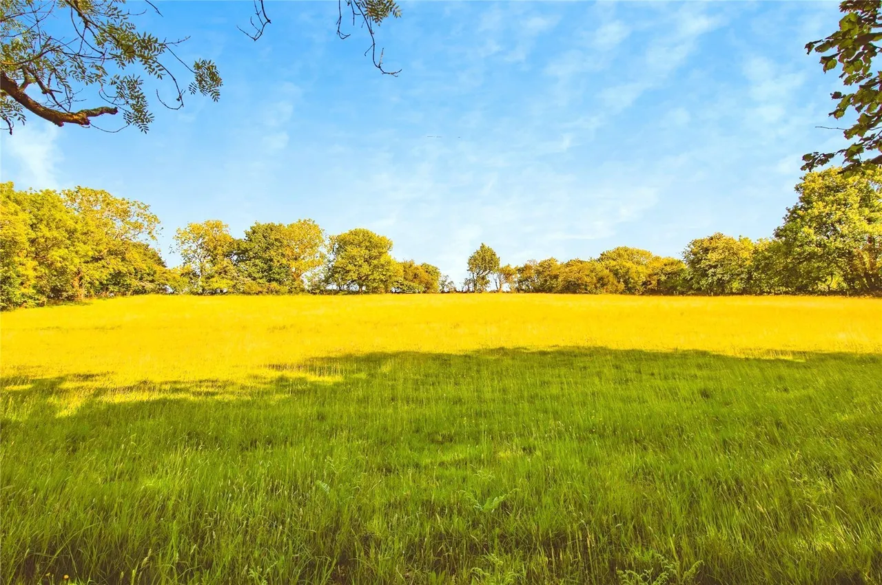 Cribyn, Lampeter, SA48, photo 36