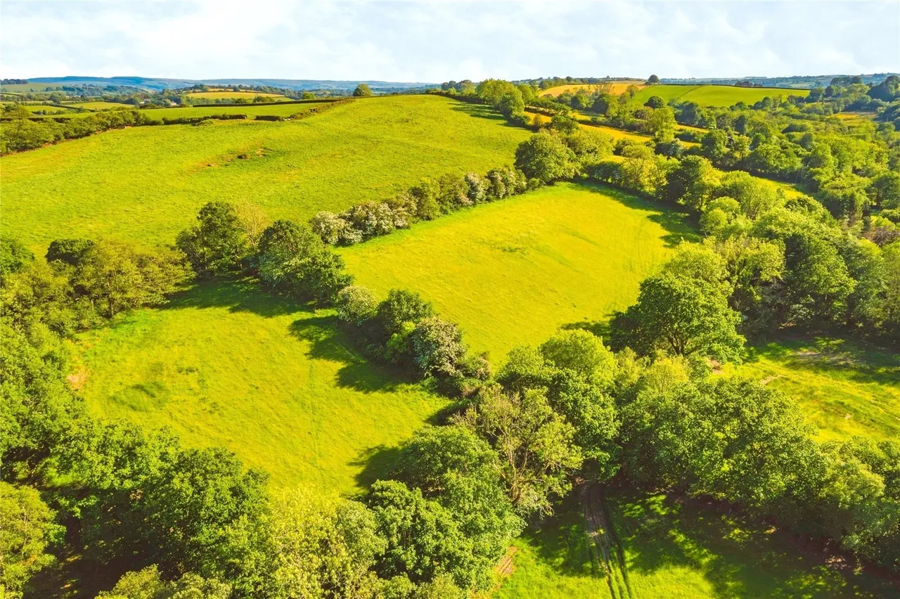 Cribyn, Lampeter, SA48, photo 40