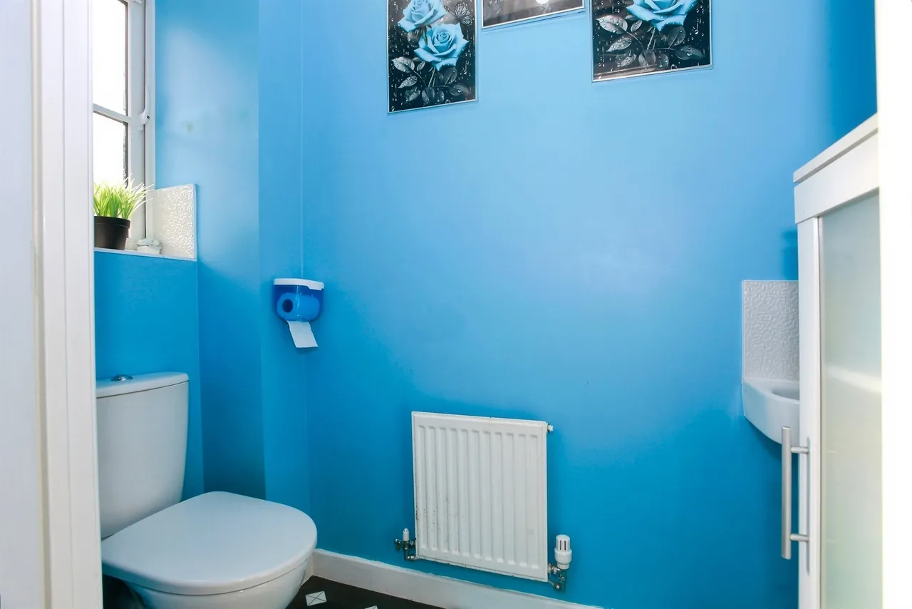 Apricot Close, Peterborough, PE1, photo 17