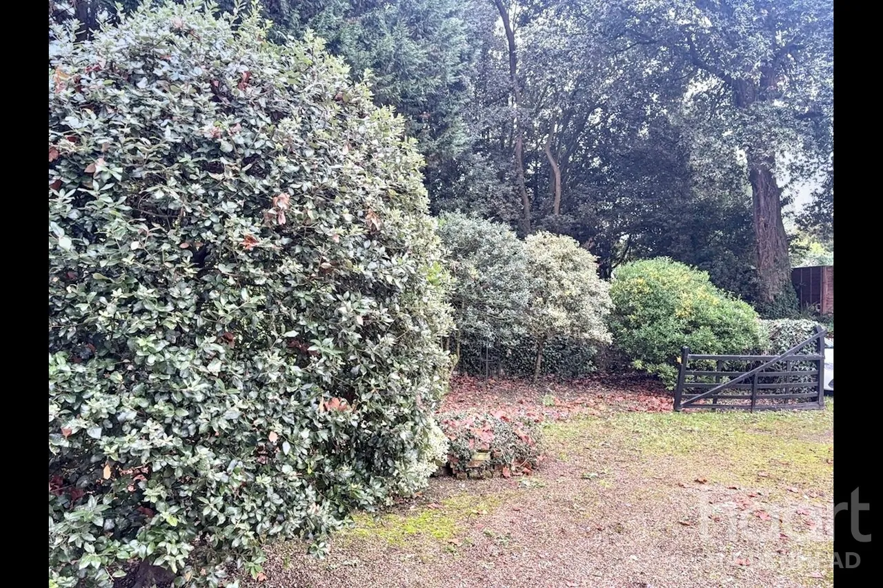 Berry Hill, Maidenhead, SL6, photo 22
