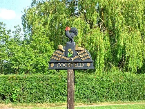 Millers Close, Cockfield, IP30, photo 3