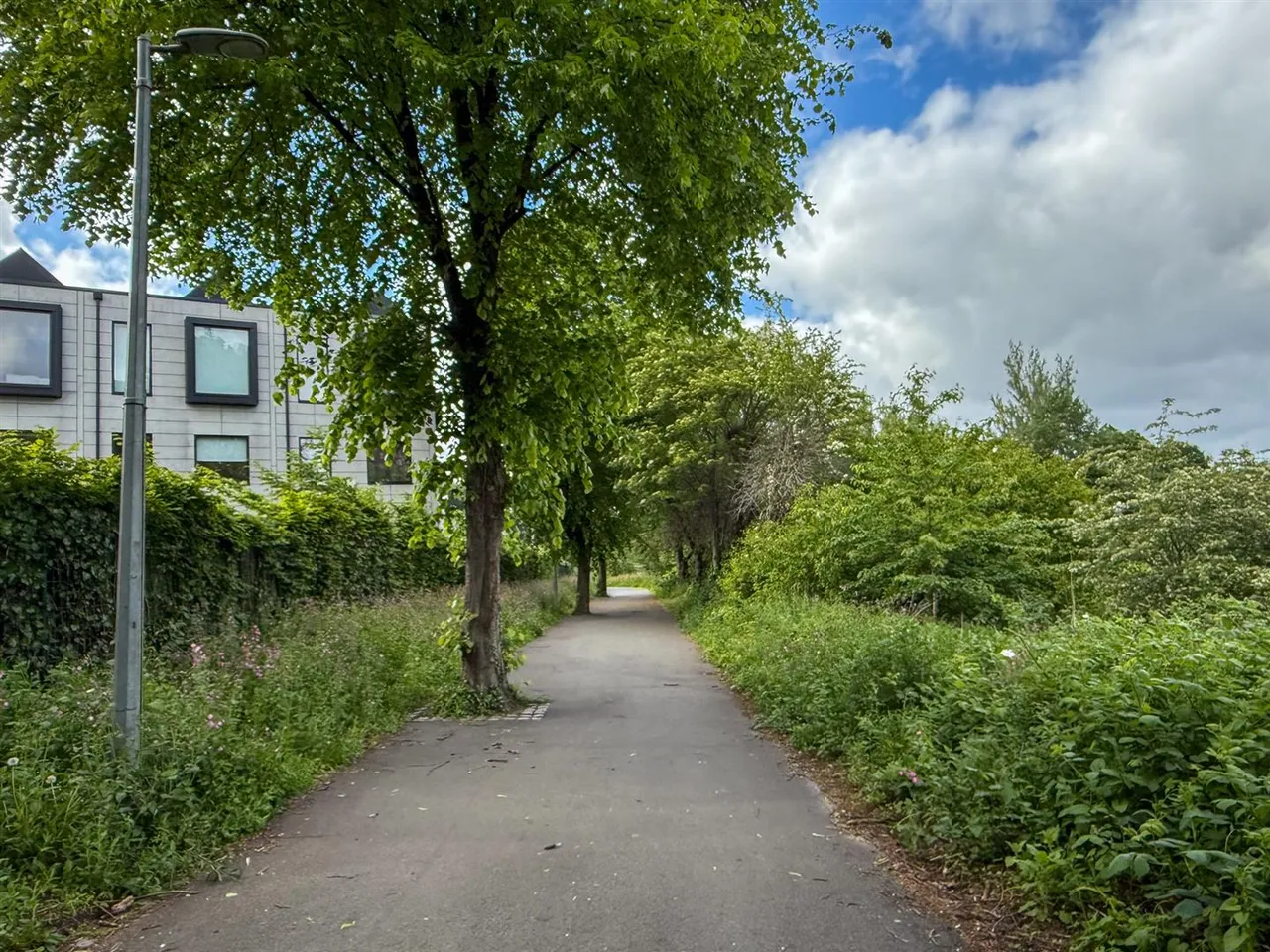 Sandywell Lane, Salford, M3, photo 40