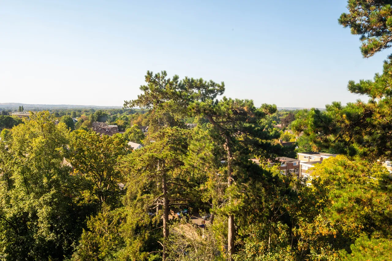 24 Craigmore Tower, Guildford Road, Woking, photo 10