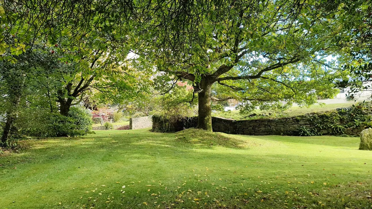 Caradon Town, Liskeard, photo 14