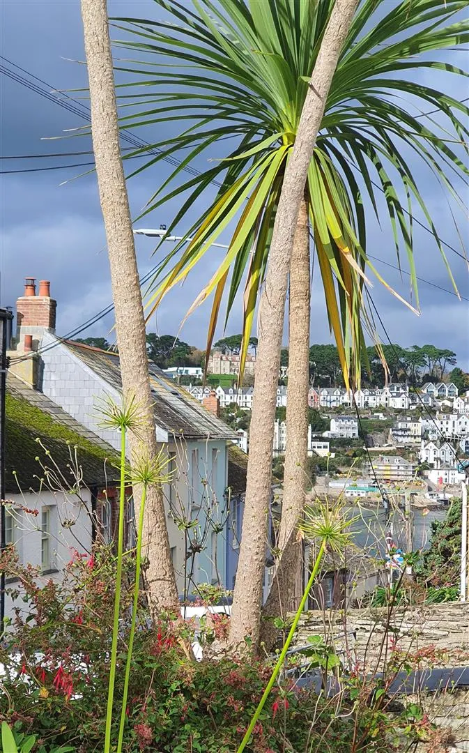 Fore Street, Polruan, photo 25