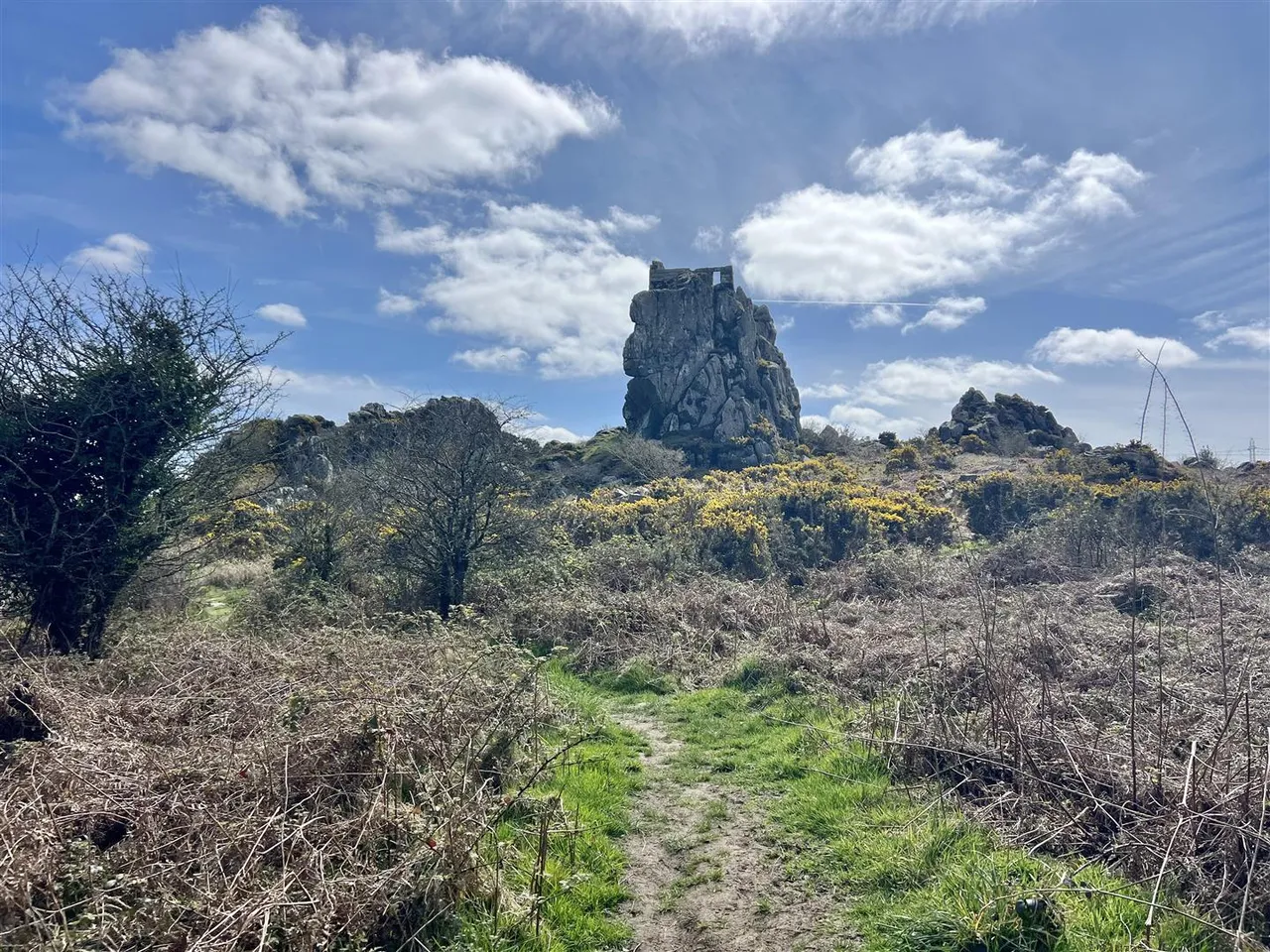 St Michaels Way, Roche, photo 32