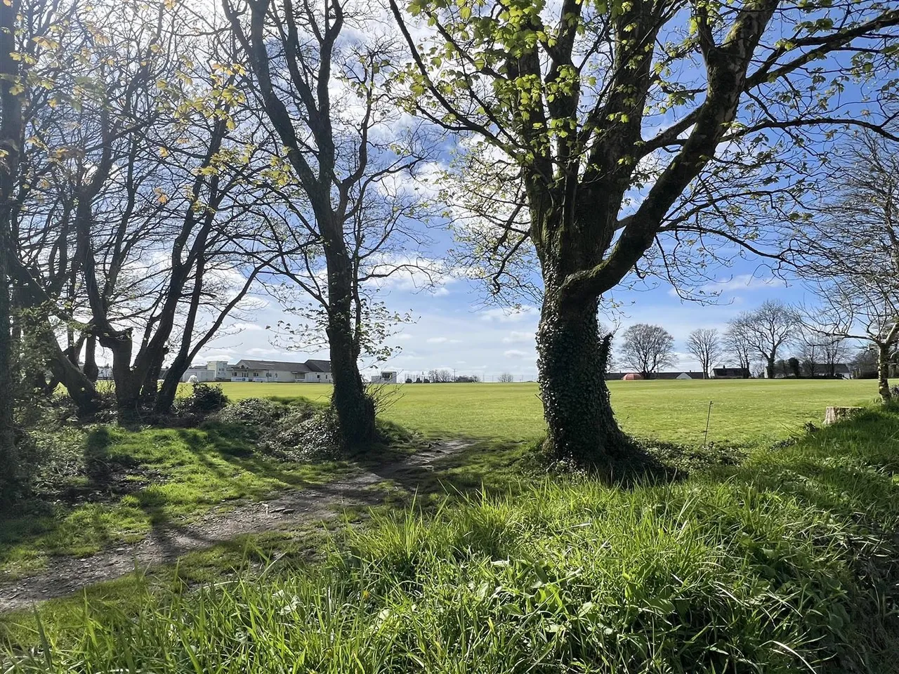 St Michaels Way, Roche, photo 17