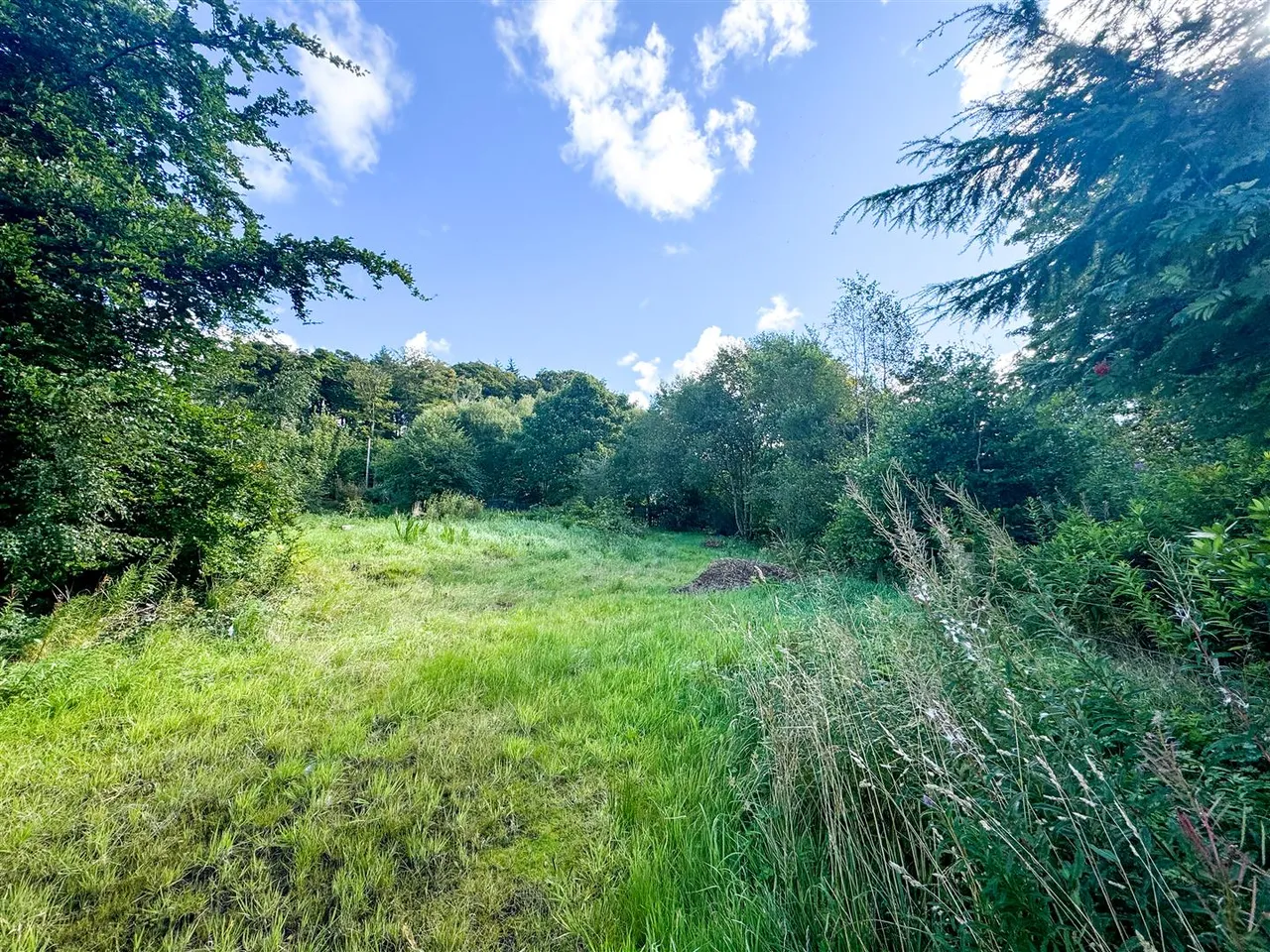 Stanmore Road, Lanark, South, ML11 7RR, photo 7