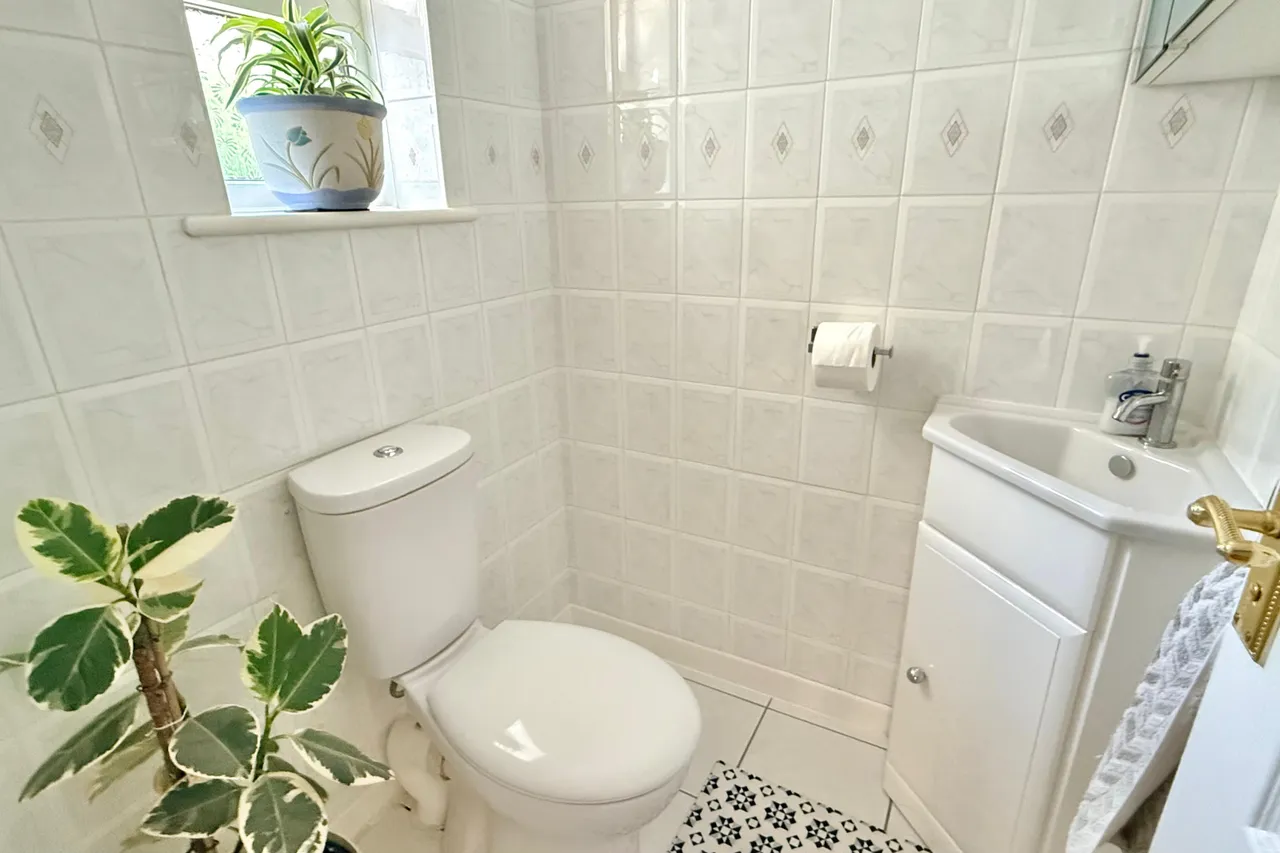 Compton Beeches, St. Ives, BH24, photo 6
