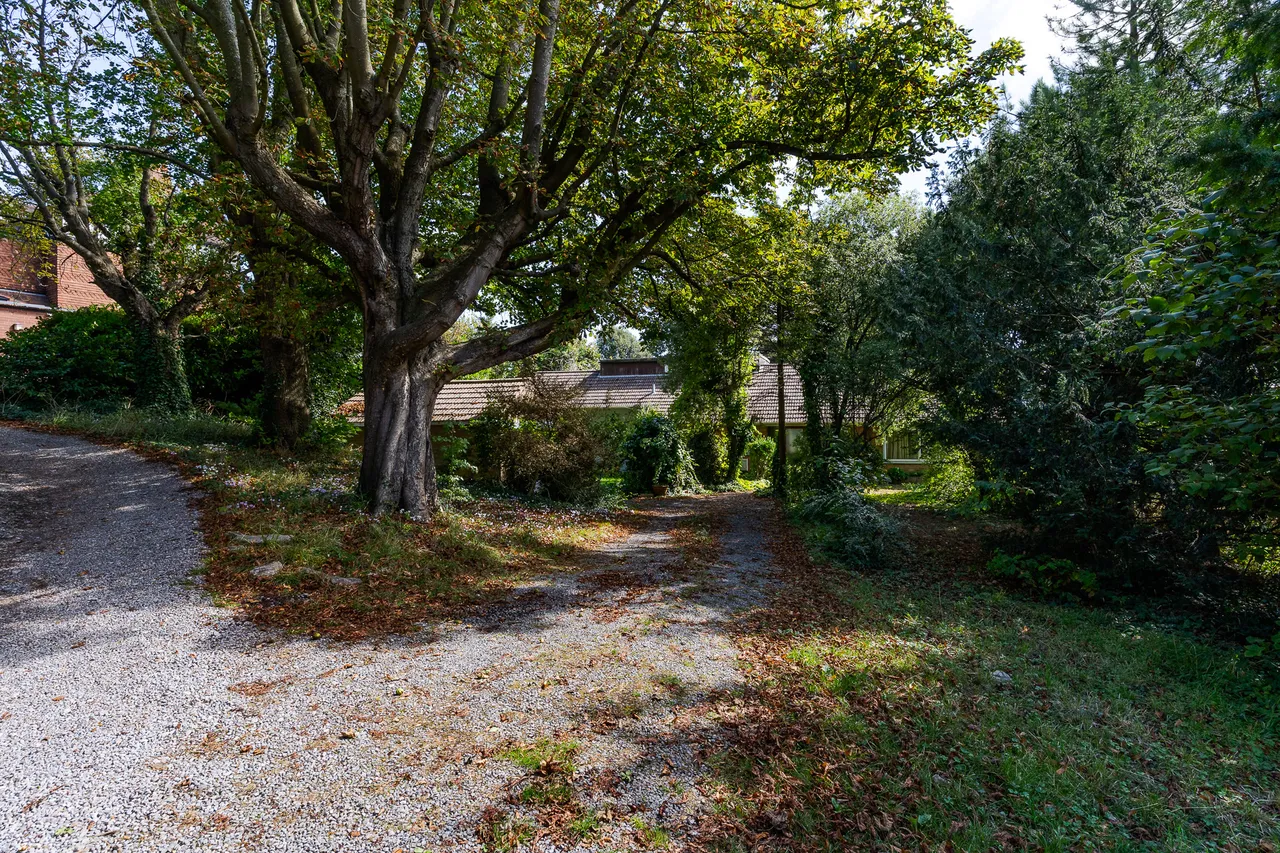 Db, photo 26