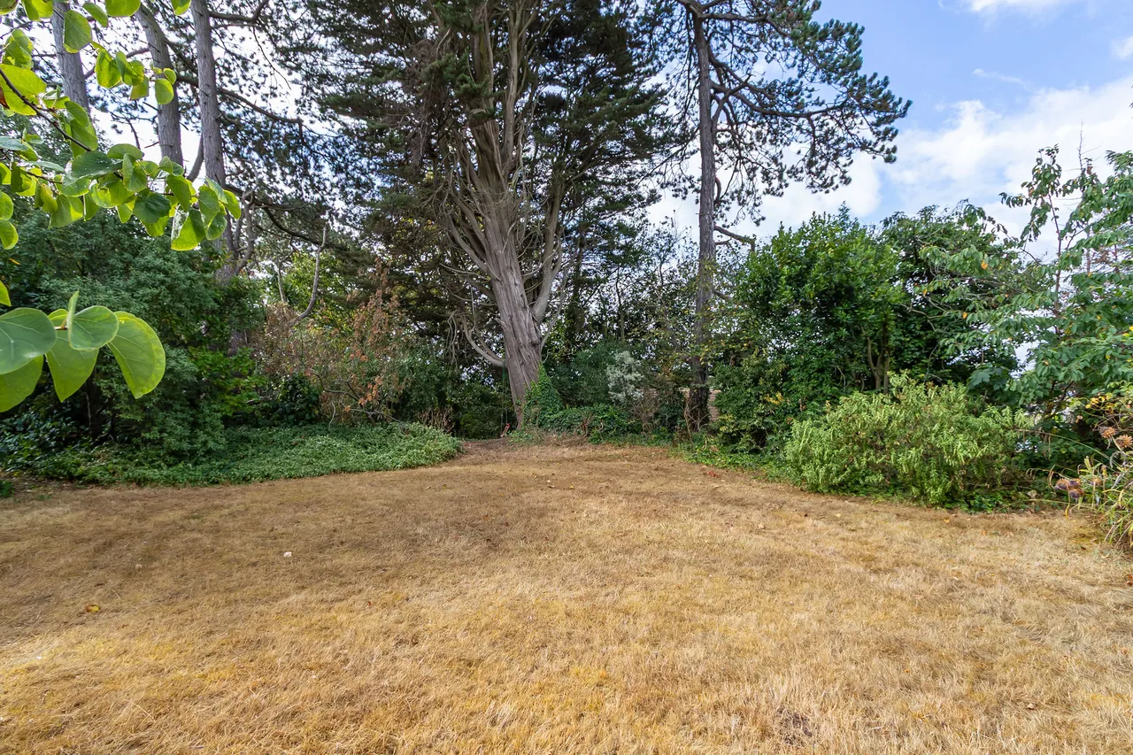 Db, photo 21