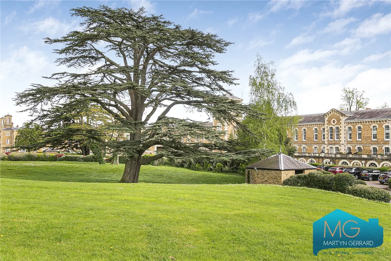 Royal Drive, Friern Barnet, N11, photo 17