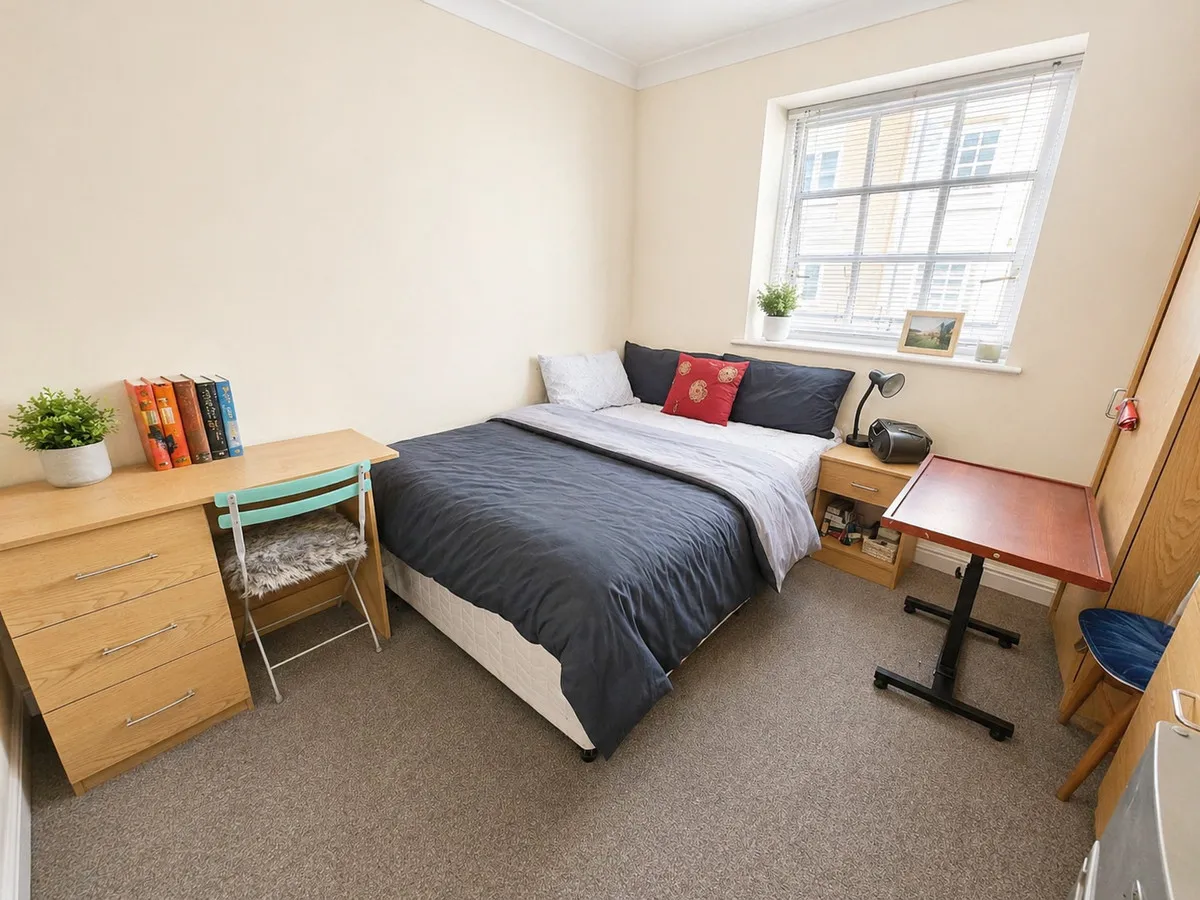 Albany Gardens, Essex, Colchester, CO2 8HQ, photo 5