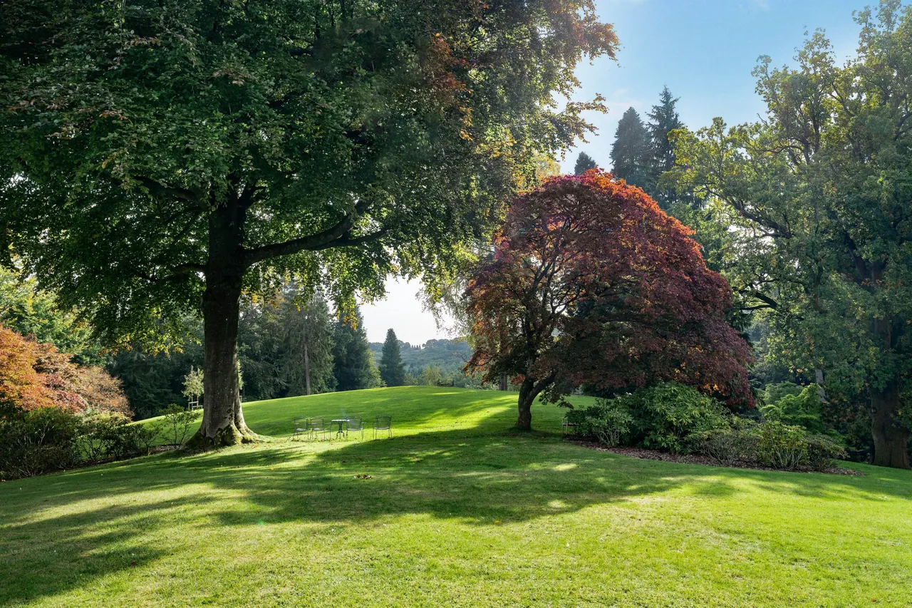 Lythe Hill Park, Haslemere, GU27, photo 14