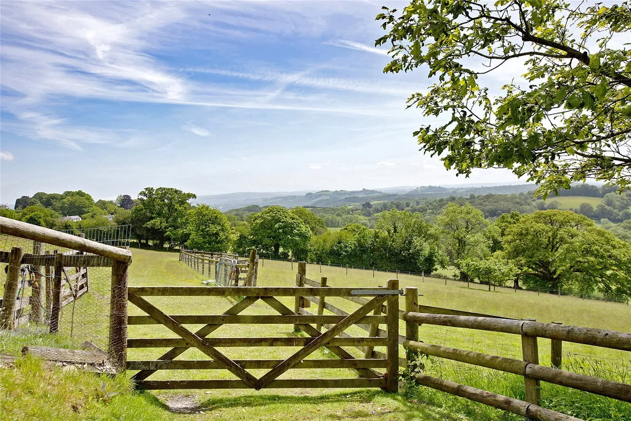 Haytor, Newton Abbot, TQ13, photo 18