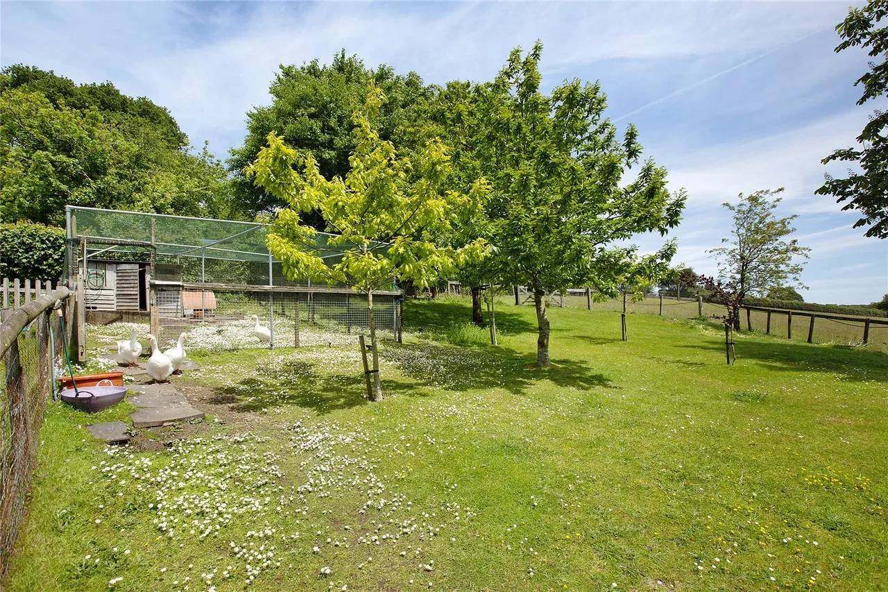 Haytor, Newton Abbot, TQ13, photo 20