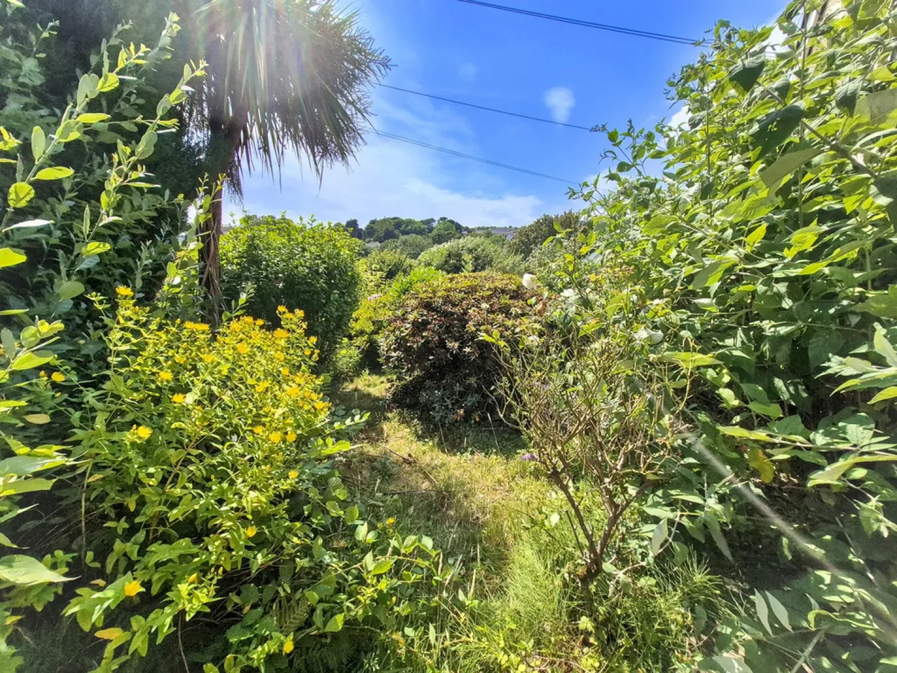 Belhay, Penryn, TR10, photo 12