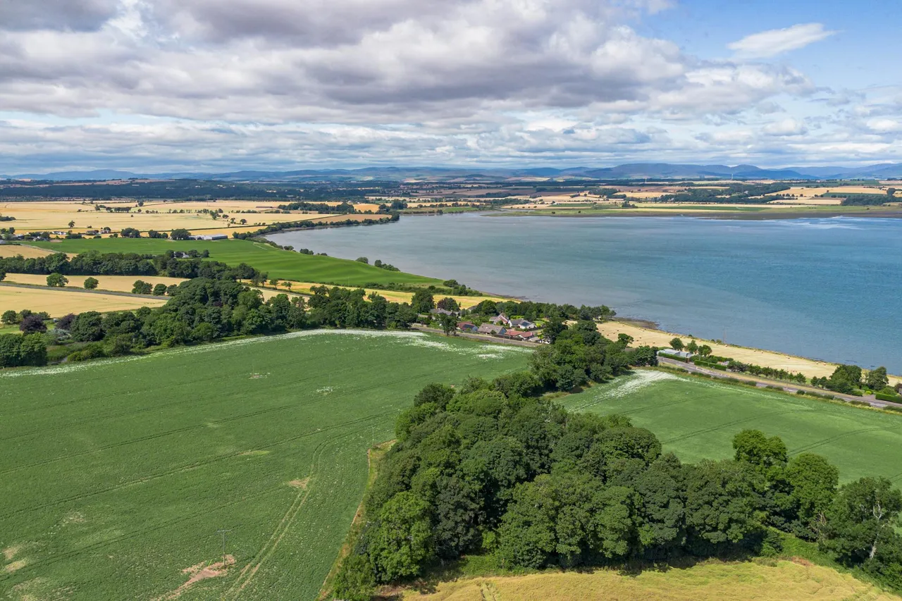 Balgove, Montrose, DD10, photo 38