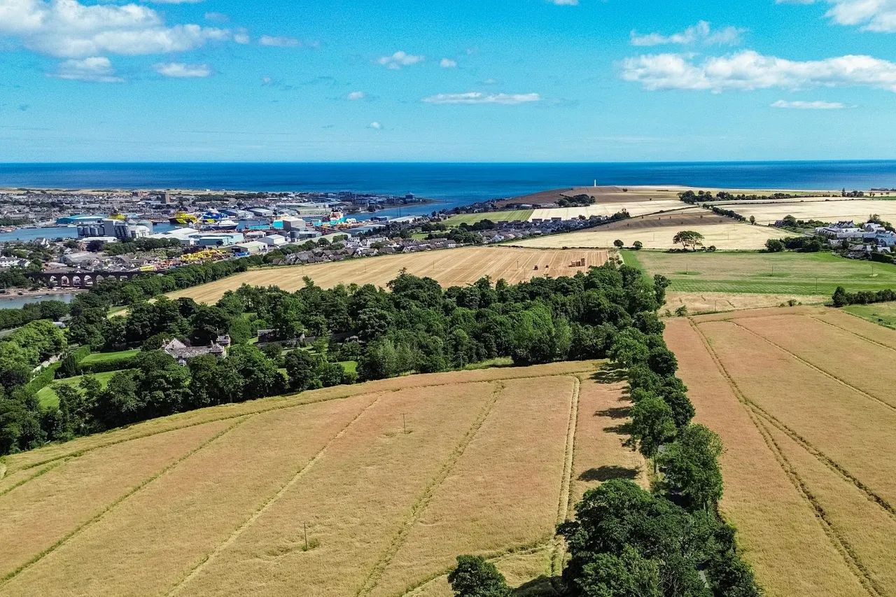 Balgove, Montrose, DD10, photo 39