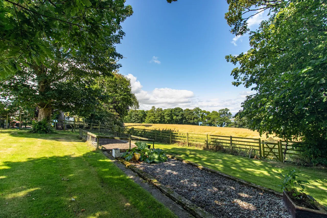 Balgove, Montrose, DD10, photo 31