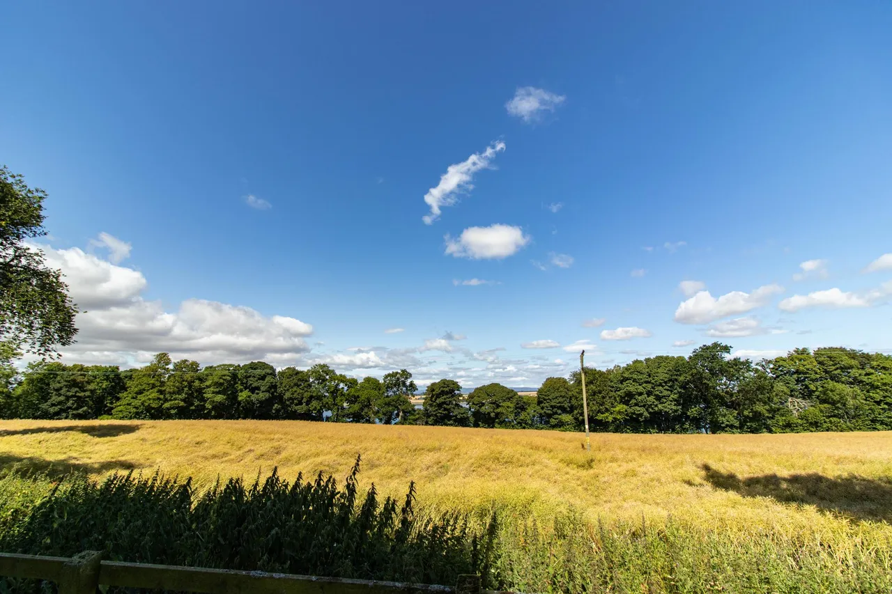 Balgove, Montrose, DD10, photo 32