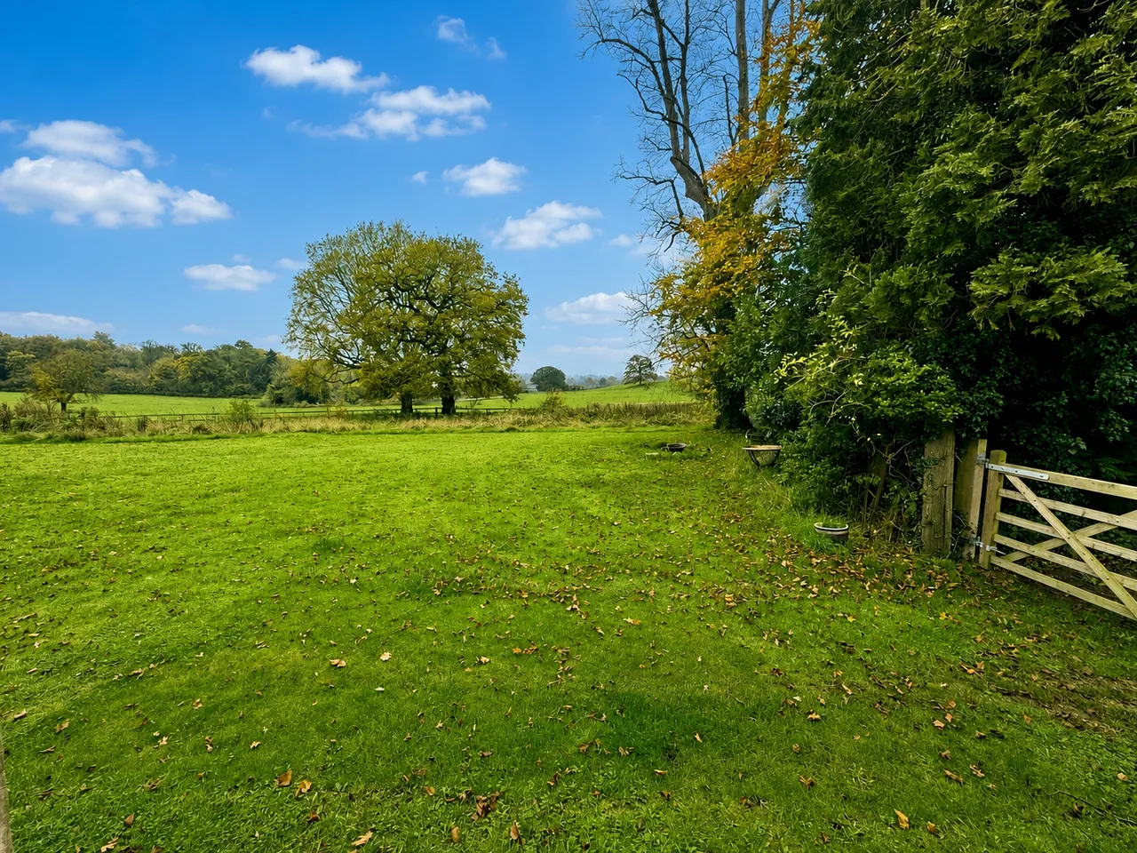 Kenilworth Road, Knowle, B93, photo 10